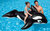 Opblaasbare walvis